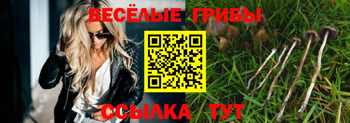 Минусинск  Галлюциногенные грибы прущие грибы  Вход с VPN 